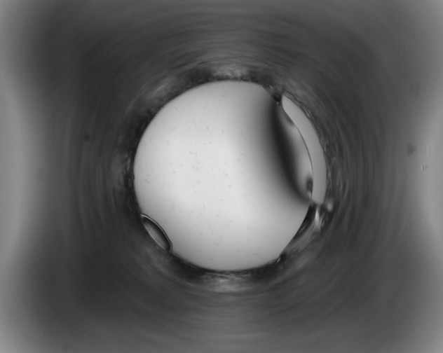 X0000083530229200703091519