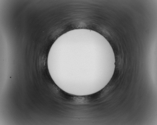 X0000083530230200703091518