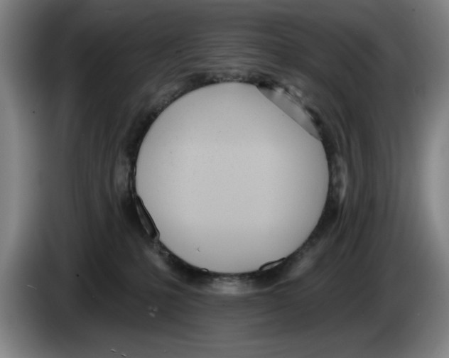 X0000083530231200703091518