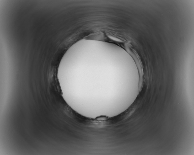 X0000083530233200703091518