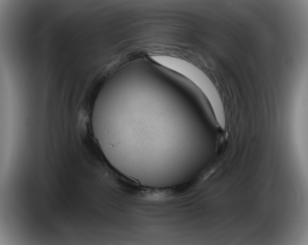 X0000083530235200703091518