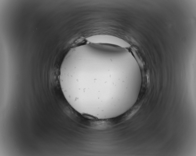 X0000083530237200703091518