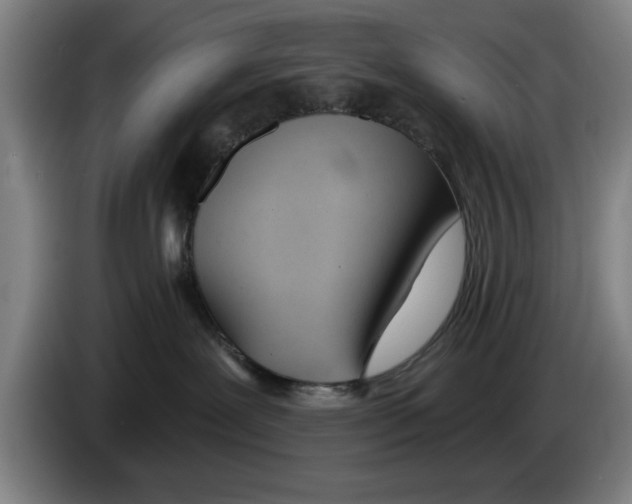 X0000083530239200703091518