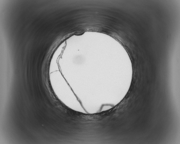 X0000083530241200703091518