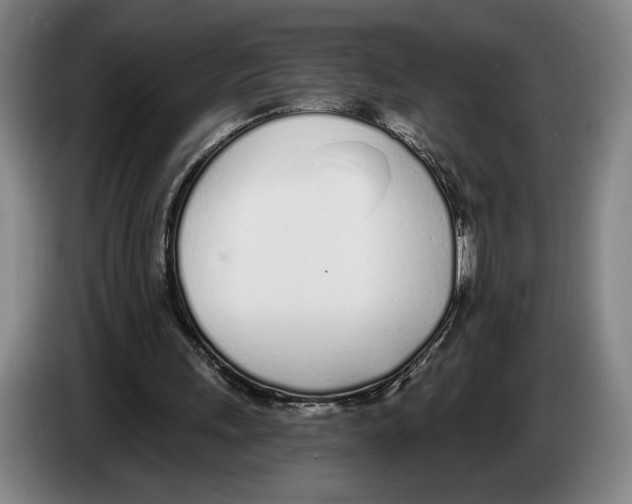 X0000083530243200703091518