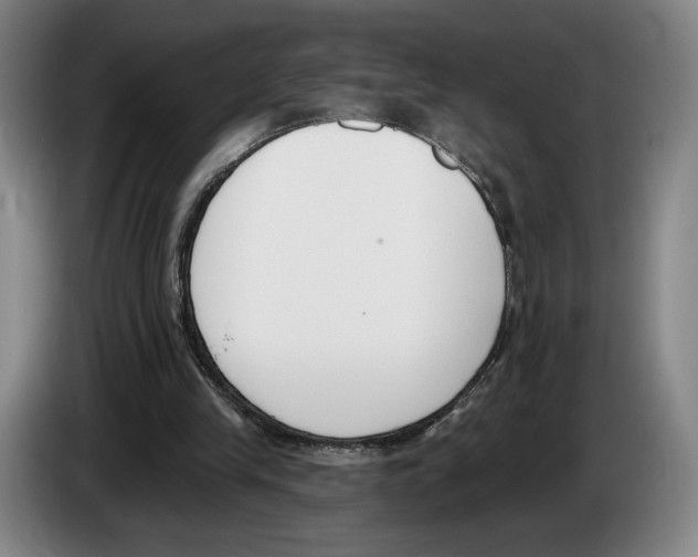 X0000083530245200703091518