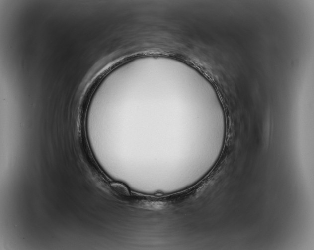 X0000083530247200703091518