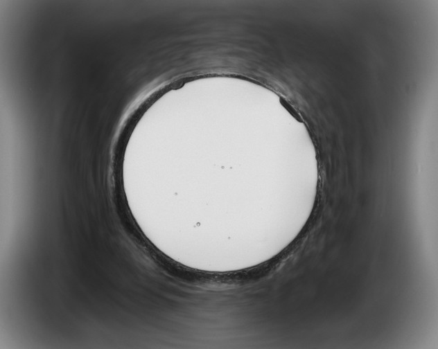 X0000083530248200703091518