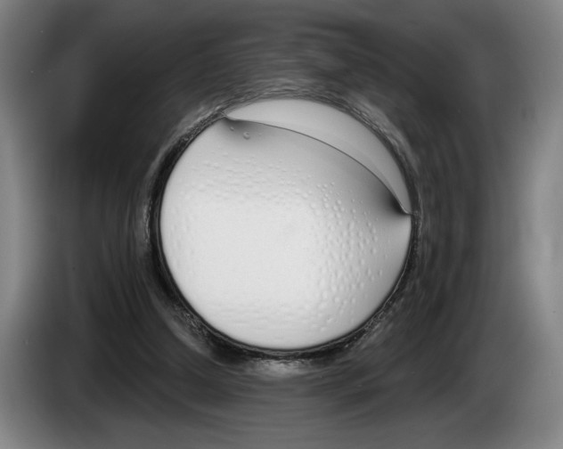 X0000083530250200703091518