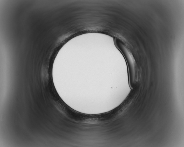 X0000083530252200703091518