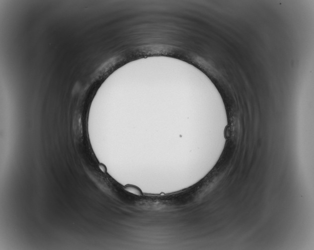 X0000083530254200703091518