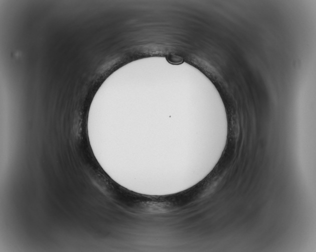 X0000083530255200703091518