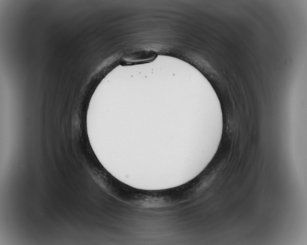 X0000083530256200703091518