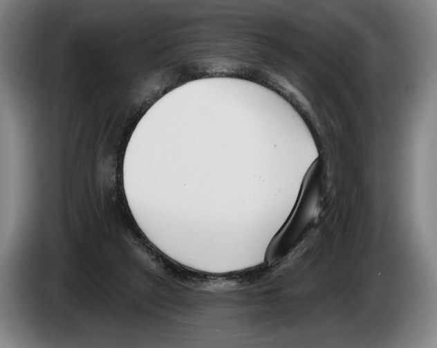 X0000083530257200703091518