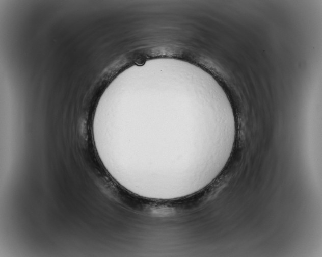 X0000083530258200703091518