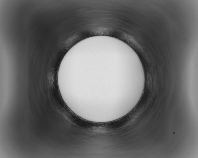 X0000083530259200703091518