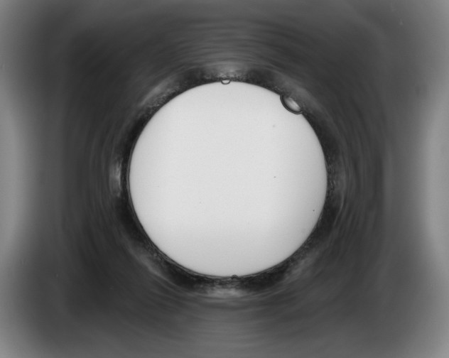 X0000083530262200703091518