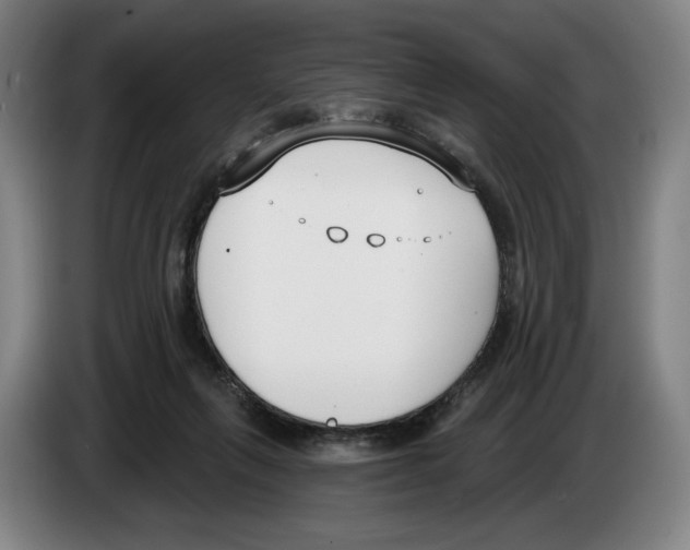 X0000083530263200703091518