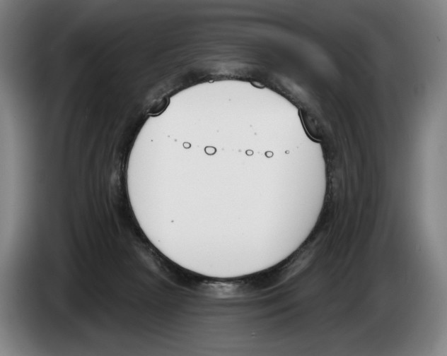 X0000083530265200703091518