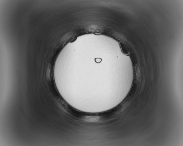 X0000083530266200703091518