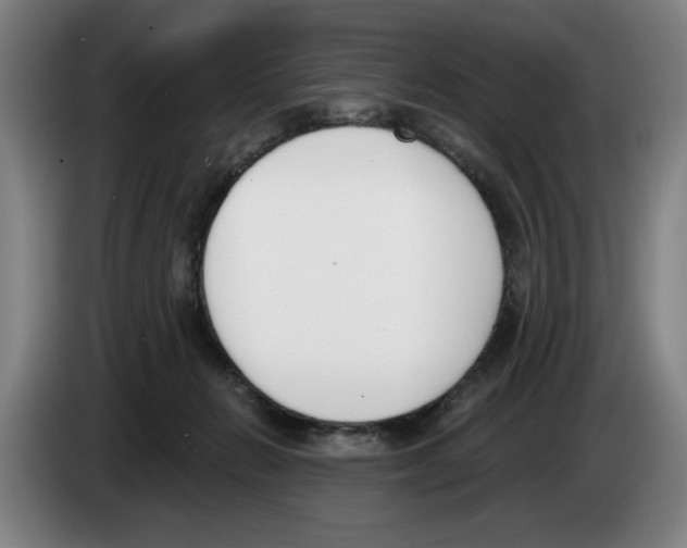 X0000083530270200703091518