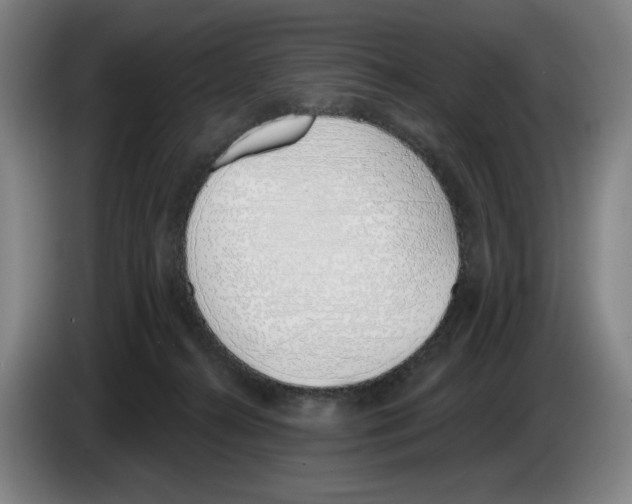 X0000083530272200703091518