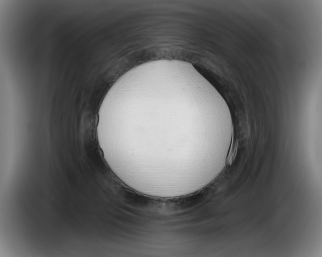 X0000083530276200703091518