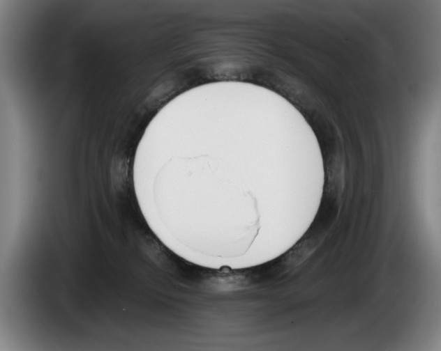 X0000083530278200703091518