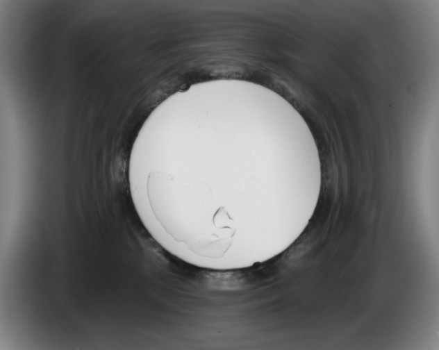 X0000083530281200703091518