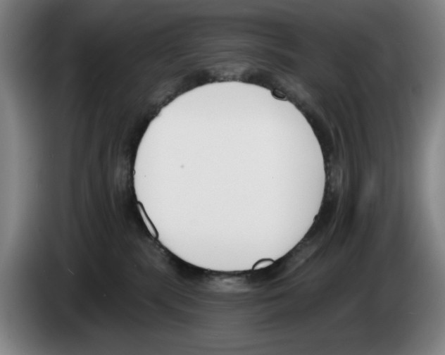 X0000083530283200703091518