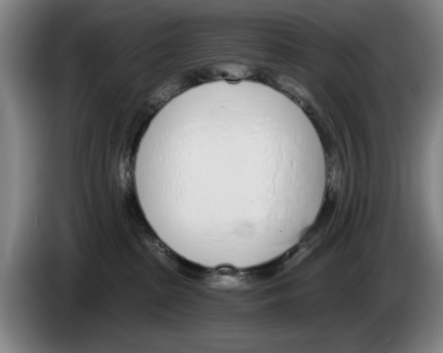 X0000083530285200703091518