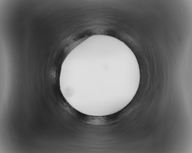 X0000083530288200703091518