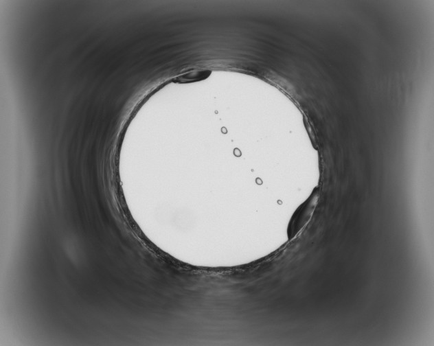 X0000083530289200703091518