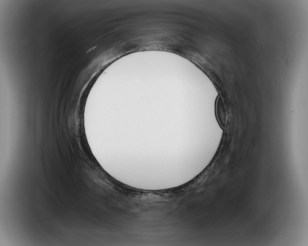 X0000083530290200703091518