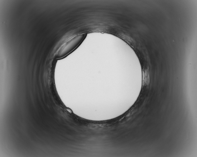 X0000083530291200703091518