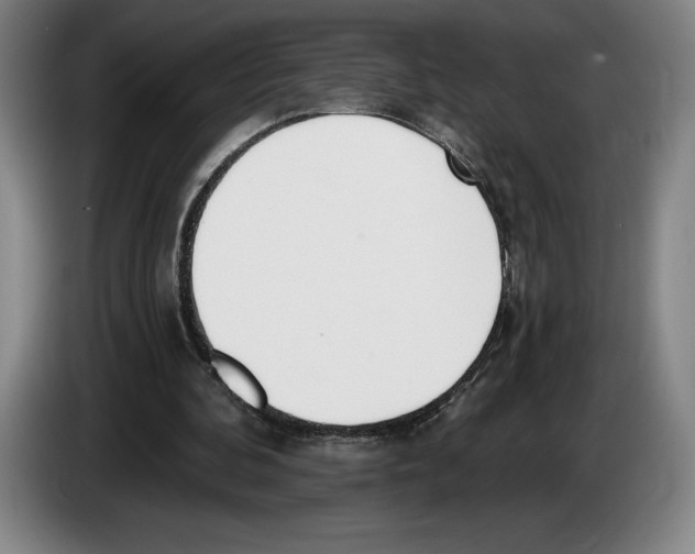 X0000083530292200703091518