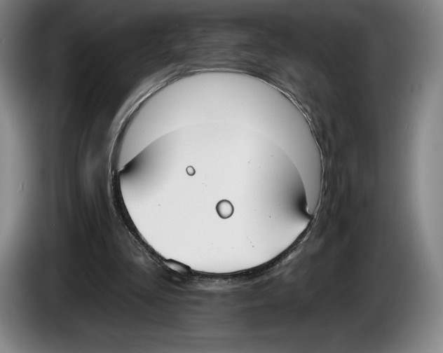 X0000083530293200703091518