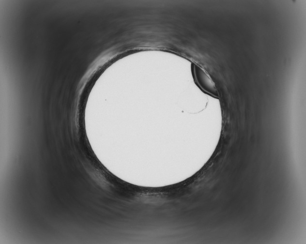 X0000083530296200703091518