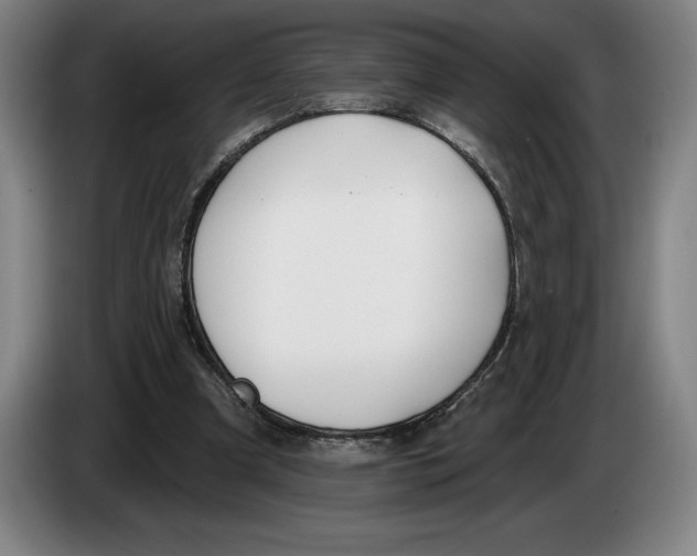 X0000083530297200703091518