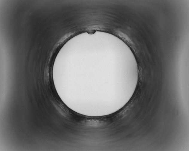 X0000083530298200703091518