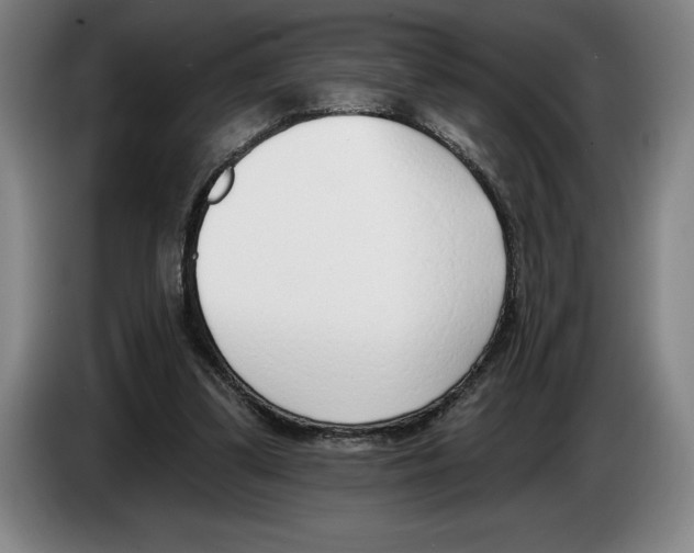 X0000083530299200703091518