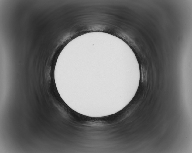 X0000083530300200703091518