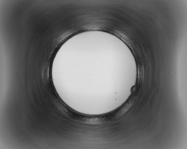 X0000083530301200703091517