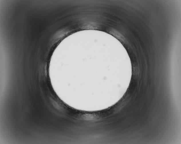 X0000083530302200703091517