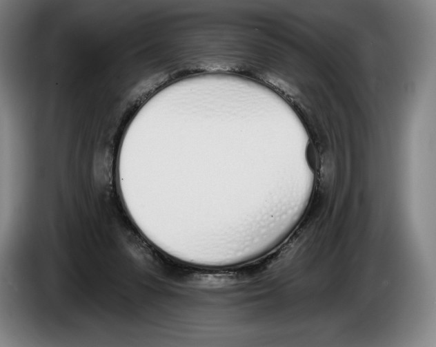 X0000083530303200703091517