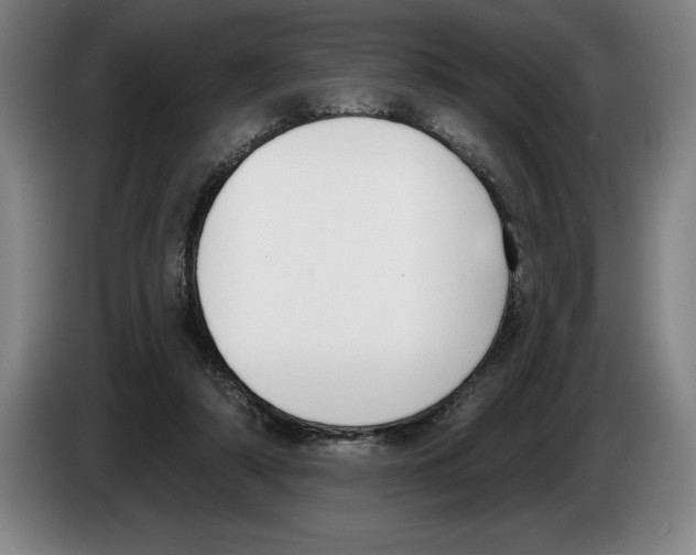 X0000083530306200703091517