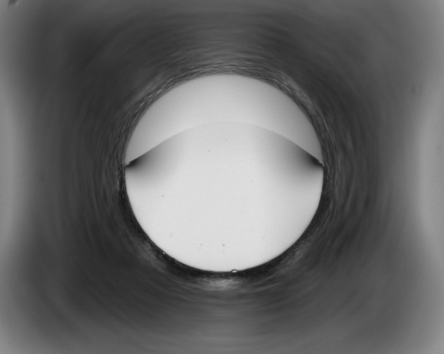 X0000083530313200703091517