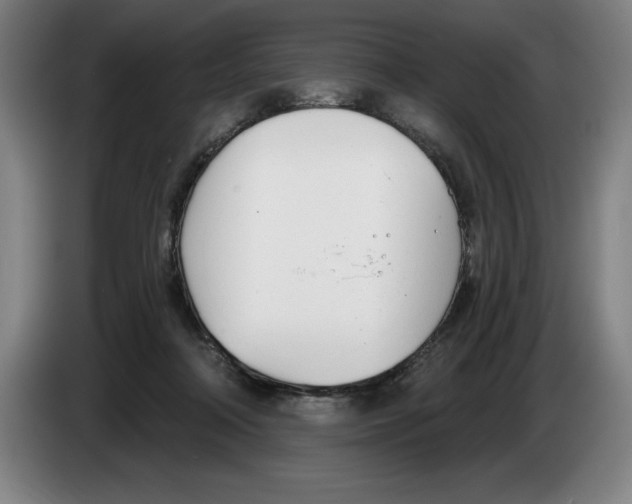 X0000083530314200703091517