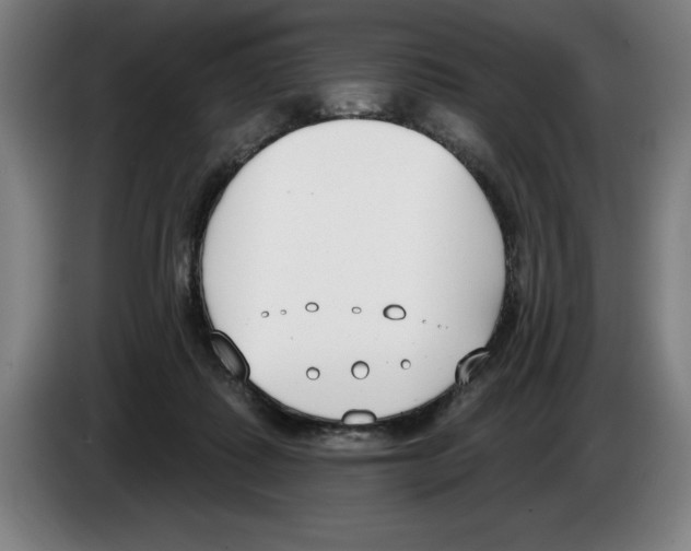 X0000083530315200703091517