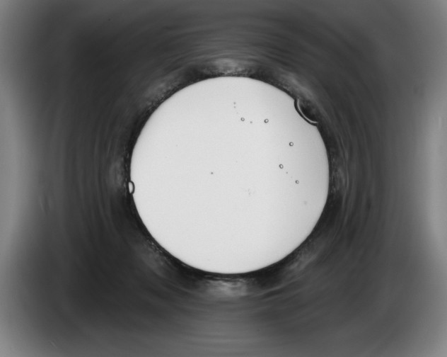 X0000083530317200703091517